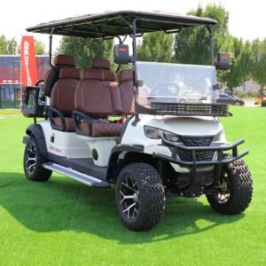 SDLANCH 6-Seater Electric Golf Cart