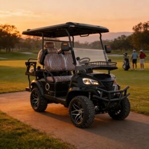 GIYI 4-Seater Electric Golf Cart – Hotel & Farm Edition