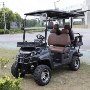 SDLANCH Luxury 4-Seater Electric Golf Cart – Black & Brown Leather